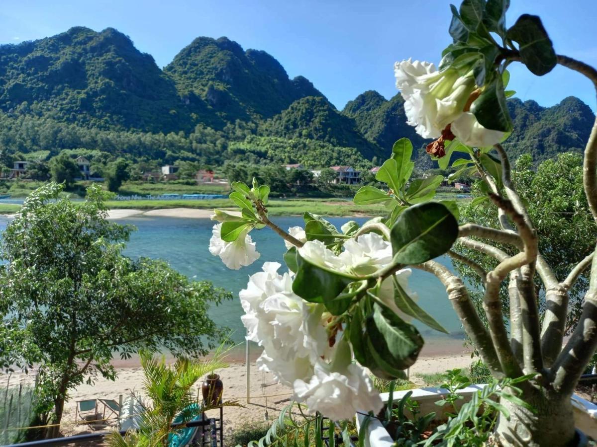 Areca Bungalow Phong Nha Exteriér fotografie