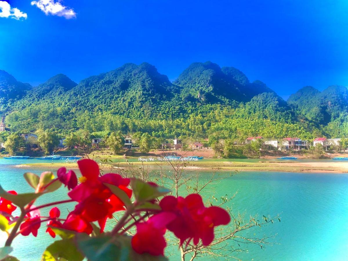 Areca Bungalow Phong Nha Exteriér fotografie